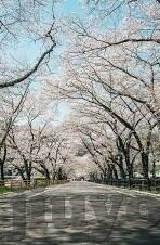 足球大比分 平-足球大比分平局，赛场上的别样风景