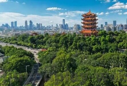 足球强行改比分-足球场上的黑暗，当比分被强行改写，公平与正义何在？